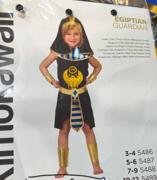 Disfraz Egipcio Niño