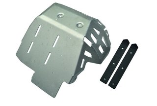 Protector Carter KTM 390 Duke