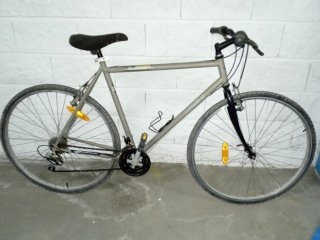 Bicicleta Híbrida 29 Paseo y Campo