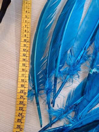 Lote 10 plumas grandes teñidas azul