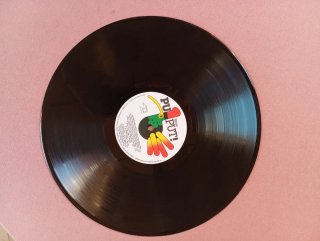 Dones, Flors i Violes - Maria Aurèlia Capmany