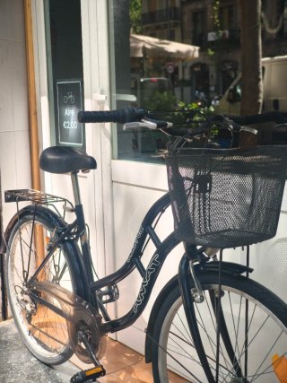 Bicicleta de paseo