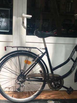 Bicicleta de paseo
