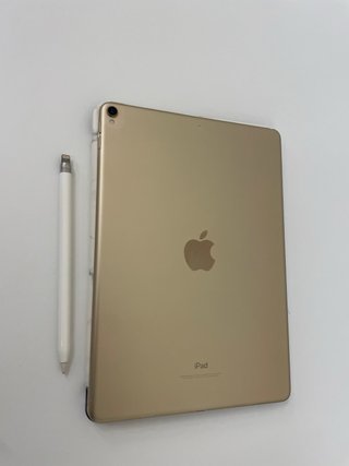 iPad Pro 10.5 256GB Argento