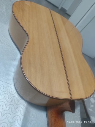 Guitarra Hermanos Sanchís f1 extra 2014