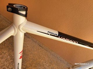 Focus Variado AL Race -Cuadro-