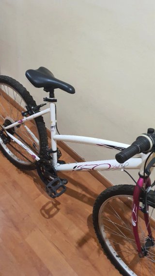 Bicicleta Montaña Niña 26 GT