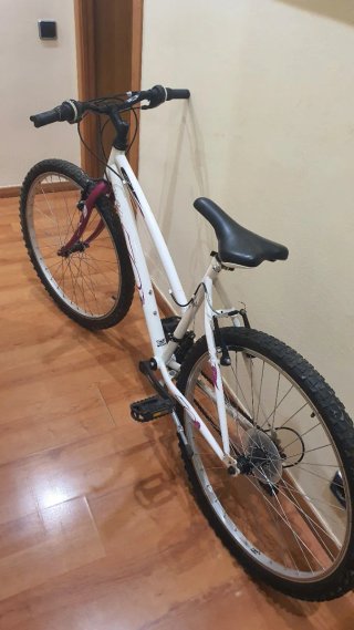 Bicicleta Montaña Niña 26 GT