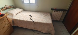 Cama articulada eléctrica + colchón