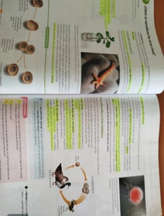 Biología y geología, 1 ESO