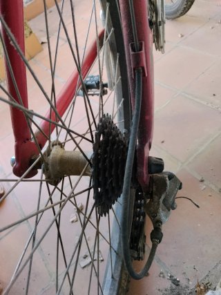 Bicicleta BH Top Line Aluminio