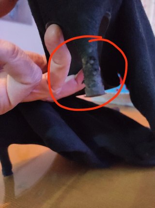 Botas altas ajustadas T.38