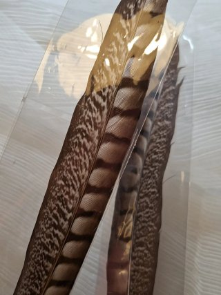 Plumas decorativas de ave 2 unidades
