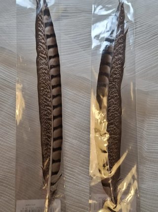 Plumas decorativas de ave 2 unidades
