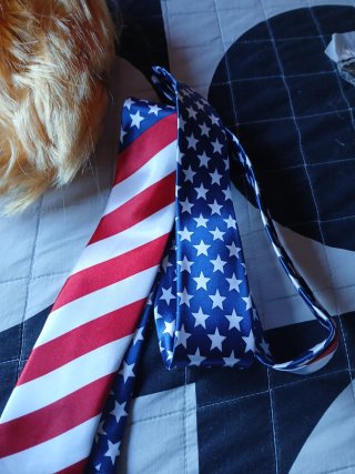 Peluca y corbata estilo Donald Trump