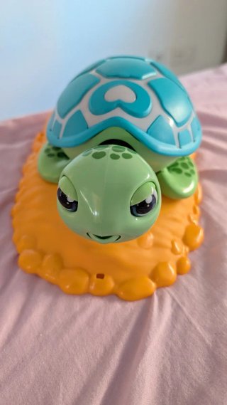 Tortuga Juguete Huevos Bebé Tortuga