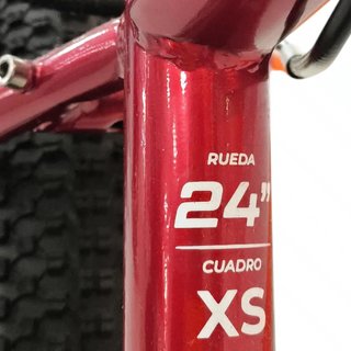 BICICLETA RALI PRO 1 24" XS