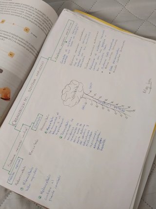 Psicología, Bachillerato