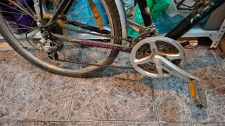 Bicicleta CONOR malibu