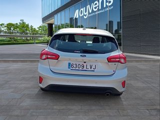 Ford Focus 1.0 Ecoboost MHEV Trend+ 92 kW (125 CV)