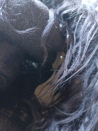 Careta de Gorila Negra