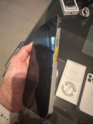 iPhone 13 Pro Max 256 GB Argento