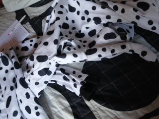 Disfraz Dalmata Adulto Talla Única