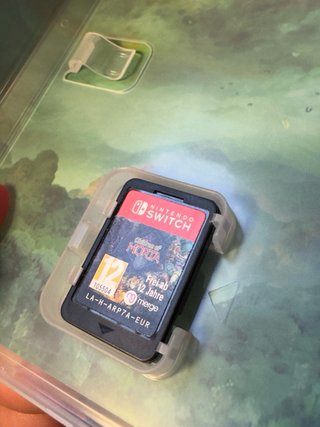 Children of Morta Signature Edition Switch