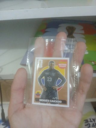 Cromo Caicedo Extra Bronce Panini