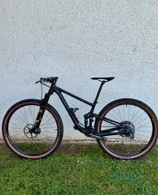 Bicicleta Giant Anthem 29 2
