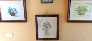 Quadri con motivi floreali. Sono 5