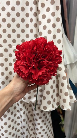 Flor clavel flamenca roja