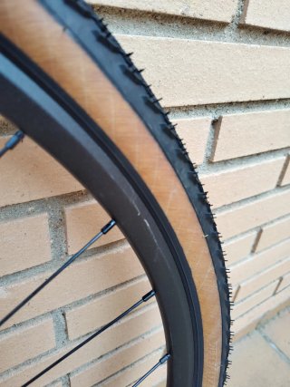 Ruedas Gravel DT Swiss XR361 disco con neumáticos