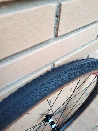Ruedas Gravel DT Swiss XR361 disco con neumáticos