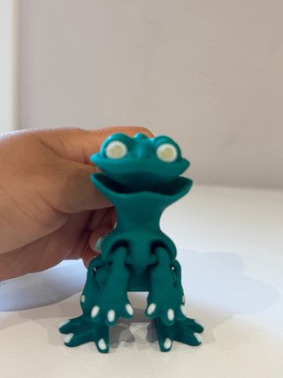 Rana Articulada Verde