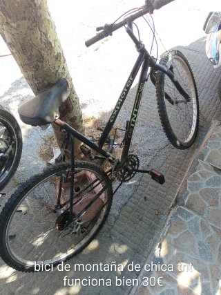 Bici Carreras Esmaltina Clásica 80s