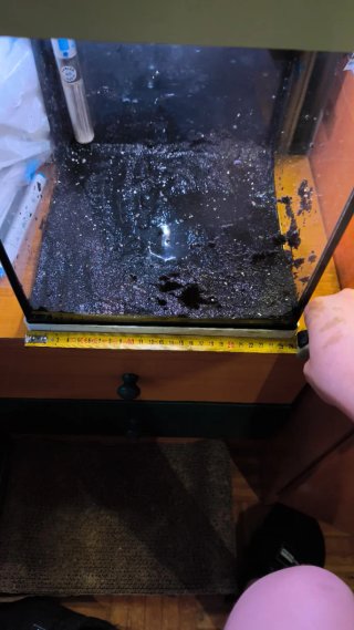 Acuario con calentador y filtro