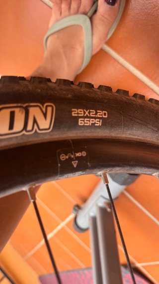 Bicicleta Orbea Alma + Soporte Reparación