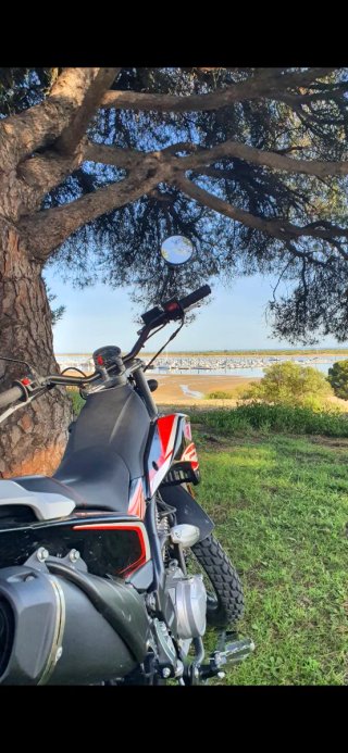 Rieju Tango 125cc Enduro Manual