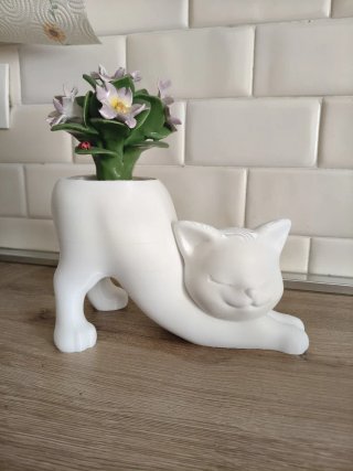 Gattovaso in PETG