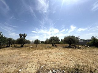 Solar en venta en Noreste-Granja en Jerez de la Frontera