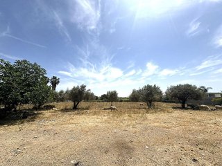 Solar en venta en Noreste-Granja en Jerez de la Frontera