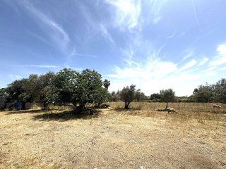 Solar en venta en Noreste-Granja en Jerez de la Frontera