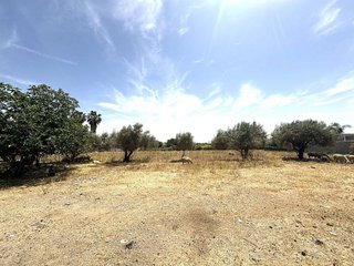Solar en venta en Noreste-Granja en Jerez de la Frontera