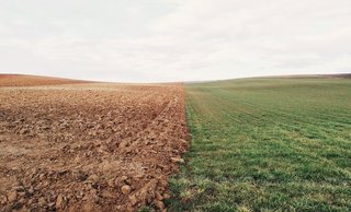 Desbrozado de fincas