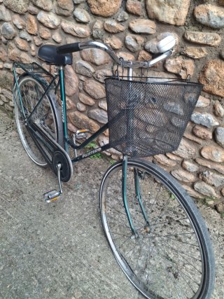 Bicicleta Holandesa Verde