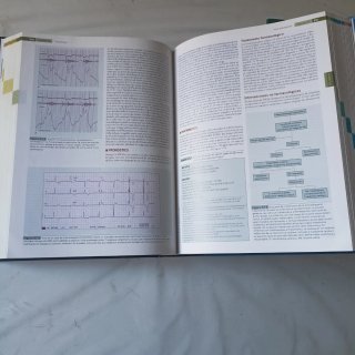 Medicina Interna Farreras Rozman