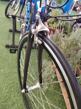 Bicicleta FOCUS talla 50