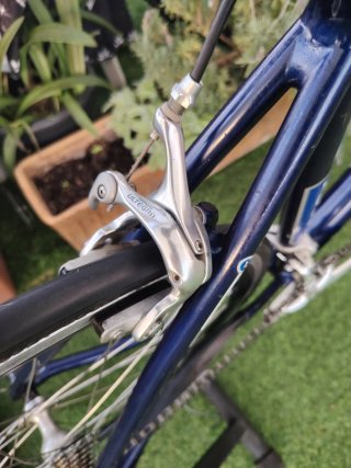 Bicicleta FOCUS talla 50