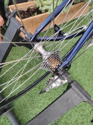 Bicicleta FOCUS talla 50